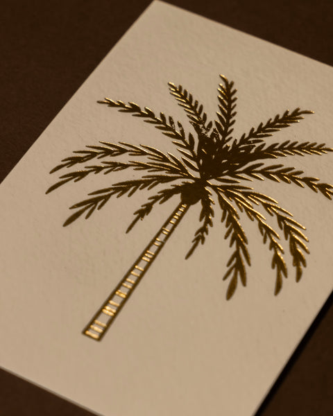 نخلة واحة العين 🌴